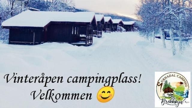 Surnadal Camping Brekkoya Skei  Extérieur photo